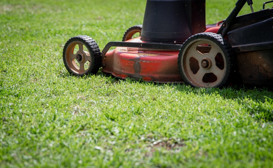 pexels-photo-4162016-4162016 Photo showing a close-up of a lawn mower cutting fresh green grass on a sunny day.