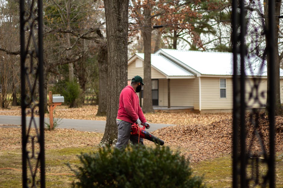 pexels-photo-9620213-9620213 A man cleans fallen leaves with a blower in a residential neighborhood during autumn.